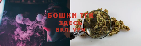 не бодяженный Арсеньев