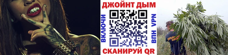 Конопля план  купить наркоту  Калуга 